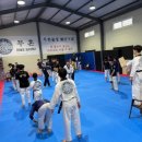 파주 무혼 태권도 입시센터 이미지