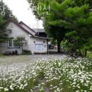 평창물소리펜션 | 강원도계곡펜션 평창물소리펜션 국내1박2일여행지로 추천하는 강원도펜션 위치 가는방법