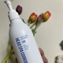 바이오헤드 이미지