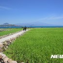 제주맑음 이미지