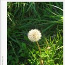 신의터재(어산재) 이미지