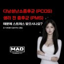 안골포중학교 | 장유율하PT 여성 필수관리 PMS 다낭성난소증후군 스트레스 이거면 끝납니다