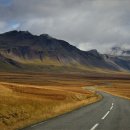 알리앙스빵집 이미지