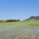 예향숯불갈비 이미지