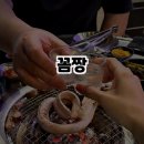 꼼짱 이미지