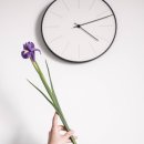 해솔한의원 이미지