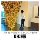 평화로03 | 제주 애월 카페 12월 제주도 크리스마스 가볼만한곳 마마롱