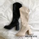 바니베리 이미지