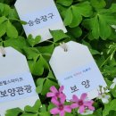 신명카서비스 이미지