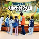 이야기 한국사 원정대 | EBS 한국사탐방 [서대문자연사박물관]새싹원정대 수업 후기