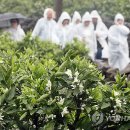 신효동-14 이미지