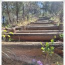 외솔목장 | <제천 작은동산>모처럼의 일탈은 의욕과 달리 걸음을 멈추게 하고~