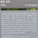 홍한 묘역 네이버블로그