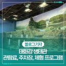 [학습교실] 여행드로잉 | 자연을 재미있게 배워보는 태화강 생태관_관람료, 주차장, 체험 프로그램 소개해요
