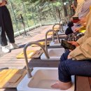 자유수호평화박물관 | 동두천 시티투어 치유의숲 자연휴양림 자유수호평화박물관 봄여행