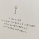 윤슬에디션 이미지