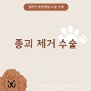 얼바인 동물병원 네이버블로그