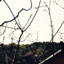 상하이(상해) 이미지