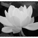 다해메디칼 이미지