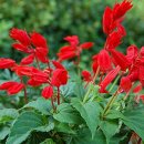 사루비아 - 중구 을지로 131 | 사루비아