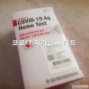 창부방역 | 코로나 자가진단 키트 사용 후기(SD바이오센서 코로나 19 항원 자가 검사)