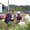 영농축산직매장 이미지