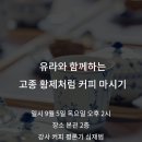 메종더갤러리 이미지