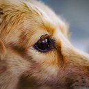 기분좋은 동물병원 이미지