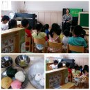 금계초교병설 이미지