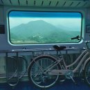 강촌에살고싶네 | 가평에서 춘천까지 자전거 라이딩하다 1