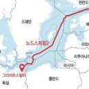 미노드 이미지
