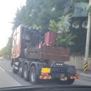 이차는 몇마력인가요? 이미지