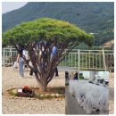지리산바이오식품 이미지