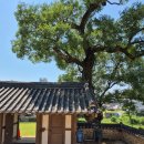 기장장관청 | 기장 장관청