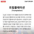 플레이션 이미지