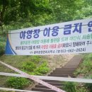 봉무공원야영장 이미지