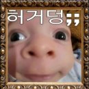 세시부터행복