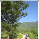 천평리마을회관 | [20120801~09]때론 함께 때론 홀로 '지리산 둘레길 전구간 한꺼번에 이어걷기' 5일차 - 1부