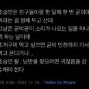 예라 이미지