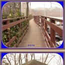 삼청공원과 성곽탐방 2011.2.6 이미지