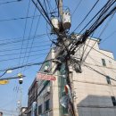 동산작은도서관 | 여의도도서관 대방동도서관 밤동산작은도서관