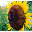 대림장여관 이미지