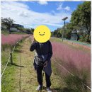 대덕구노인복지센터 이미지