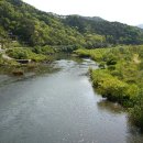 곡성-043 티스토리