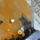 옥천 | 대전 옥천 뼈구이 후기 성심당 대체 빵집 추천