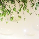 엔젤소아청소년과의원 이미지