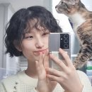 진아헤어 - 사상구 백양대로 967 | 진아헤어