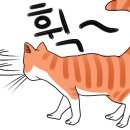 물고기익스프레스