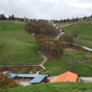 강원도 대관령 양떼 목장 이미지