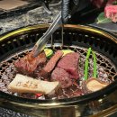 도토리짐(319) 이미지